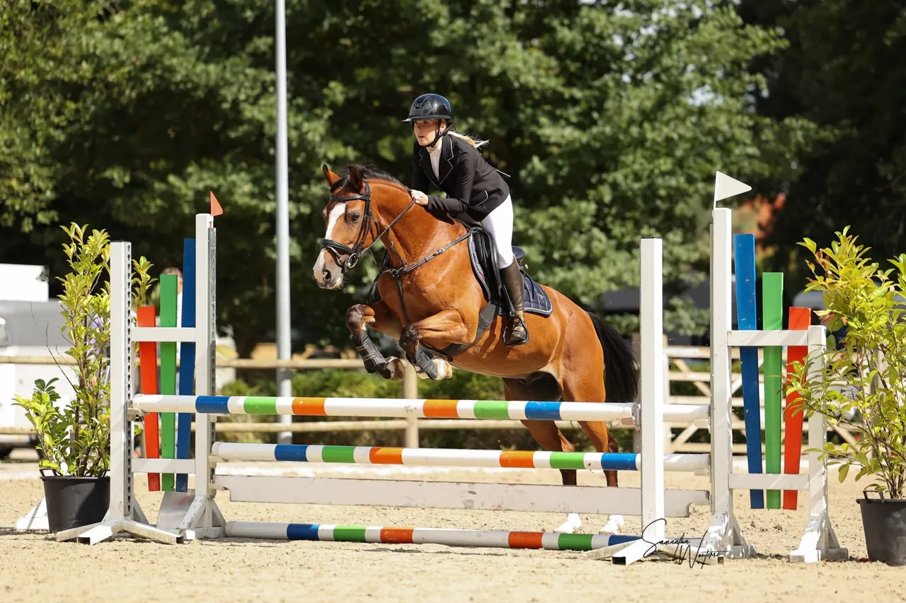 Marit van Wees springt in wedstrijdkleding met een bruin paard over een hindernis.